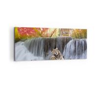 Quadro su Tela 100x40cm Tigre natura animale paradiso Stampe Immagini Murale