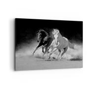 Quadro su Tela 100x70cm Andaluso Cavalli Galoppo Stampe Immagini Quadri Murale