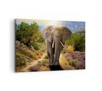 Quadro su Tela 100x70cm Animali Africa elefante camminare Stampe Immagini Murale