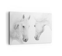 Quadro su Tela 100x70cm Cavalli Natura Animali Stampe Immagini Quadri Murale