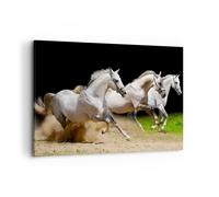 Quadro su Tela 100x70cm Cavalli Sabbia Erba Stampe Immagini Quadri Murale