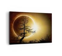 Quadro su Tela 100x70cm Eclipse il sole l'albero Stampe Immagini Quadri Murale