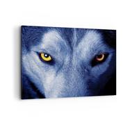 Quadro su Tela 100x70cm Guarda il lupo gli occhi Stampe Immagini Quadri Murale