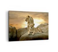 Quadro su Tela 100x70cm Stampe da Parete Leoni tramonto rocce artigli Grandi Decorazione Murale Camera da Letto Cucina 1 pezzo Quadri Moderni Soggiorno Grafica Immagini Wall Art Canvas AA100x70-2958