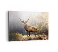 Quadro su Tela 100x70cm Stampe da Parete Luce cervo foresta Grandi Decorazione Murale Camera da Letto Cucina 1 pezzo Quadri Moderni Soggiorno Grafica Immagini Wall Art Canvas AA100x70-4452