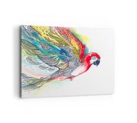 Quadro su Tela 100x70cm Parrot ali piume la natura Stampe Immagini Quadri Murale