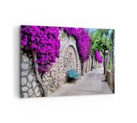 Quadro su Tela 100x70cm Piante banco strada estate Stampe Immagini Quadri Murale