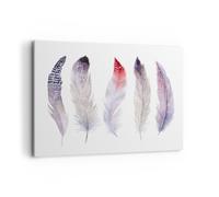 Quadro su Tela 100x70cm Piuma Animale Uccello composizione Stampe Murale
