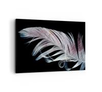 Quadro su Tela 100x70cm Piuma I Colori Delicatezza Stampe Immagini Quadri Murale