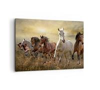 Quadro su Tela 100x70cm Stampe da Parete cavallo animale natura Grandi Decorazione Murale Camera da Letto Cucina 1 pezzo Quadri Moderni Soggiorno Grafica Immagini Wall Art Canvas AA100x70-3640
