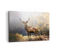 Quadro su Tela 100x70cm Luce cervo foresta Stampe Immagini Quadri Moderni Murale