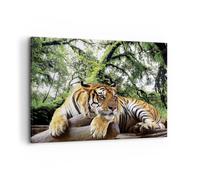 Quadro su Tela 100x70cm Stampe da Parete Tigre giungla riposo Grandi Decorazione Murale Camera da Letto Cucina 1 pezzo Quadri Moderni Soggiorno Grafica Immagini Wall Art Canvas AA100x70-4166