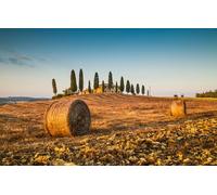 Quadro su tela 110 x 70 cm: bellissimo paesaggio Toscana con casa colonica tradizionale e balle di fieno in luce dorata, Val d Orcia, Toscana, Italia (37340822)