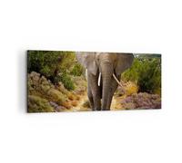 Quadro su Tela 120x50cm Animali Africa elefante camminare Stampe Immagini Murale