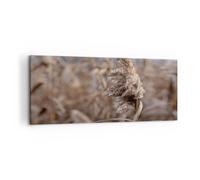 Quadro su Tela 120x50cm Boho Spighe Di Grano Erba Stampe Immagini Quadri Murale
