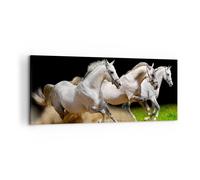 Quadro su Tela 120x50cm Cavalli Sabbia Erba Stampe Immagini Quadri Murale