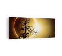 Quadro su Tela 120x50cm Eclipse il sole l'albero Stampe Immagini Quadri Murale