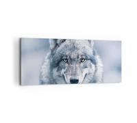 Quadro su Tela 120x50cm Lupo predatore natura selvaggia Stampe Immagini Murale