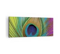 Quadro su Tela 120x50cm Pavoni piume arcobaleno Stampe Immagini Quadri Murale
