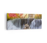 Quadro su Tela 120x50cm Tigre natura animale paradiso Stampe Immagini Murale