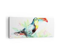Quadro su Tela 120x50cm Uccello Tucano la curiosità selvaggio Stampe Murale