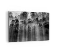 Quadro su Tela 120x80cm Alberi Dentro Nebbia Stampe Immagini Quadri Murale