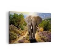 Quadro su Tela 120x80cm Animali Africa elefante camminare Stampe Immagini Murale