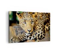 Quadro su Tela 120x80cm Animali pericoloso gatto selvatico Stampe Murale