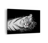 Quadro su Tela 120x80cm Bianco tigre bianco e nero Stampe Immagini Quadri Murale