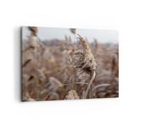 Quadro su Tela 120x80cm Boho Spighe Di Grano Erba Stampe Immagini Quadri Murale