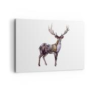 Quadro su Tela 120x80cm Caro animale selvatico foresta Stampe Immagini Murale