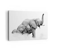 Quadro su Tela 120x80cm Elefanti famiglia bianco e nero Stampe Immagini Murale