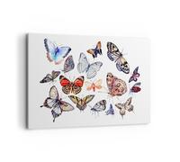 Quadro su Tela 120x80cm Farfalle illustrazione colorito ali Stampe Murale