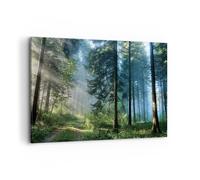 Quadro su Tela 120x80cm La foresta l'alba il sole Stampe Immagini Quadri Murale