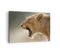 Quadro su Tela 120x80cm Leone Leonessa Zanne Stampe Immagini Quadri Murale