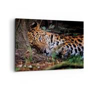 Quadri Moderni Soggiorno Leopardo Ritratto Giaguaro Quadro su Tela 120x80cm Stampe da Parete Camera da Letto Cucina 1 pezzo Wall Art Canvas Grandi XXL Decorazione Murale Grafica Immagini AA120x80-4493