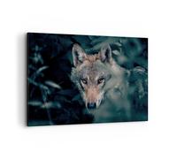 Quadro su Tela 120x80cm Lupo foresta predatore Stampe Immagini Quadri Murale