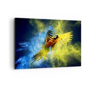 Quadro su Tela 120x80cm pappagallo uccello piuma Stampe Immagini Quadri Murale
