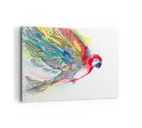 Quadro su Tela 120x80cm Parrot ali piume la natura Stampe Immagini Quadri Murale