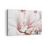 Quadro su Tela 120x80cm Ramoscello Magnolia Fiore Stampe Immagini Quadri Murale