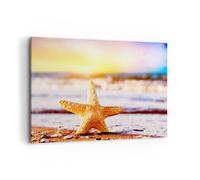 Quadro su Tela 120x80cm Stella marina Spiaggia sabbia oceano Stampe Murale