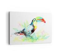 Quadro su Tela 120x80cm Uccello Tucano la curiosità selvaggio Stampe Murale