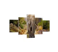 Quadro su Tela 125x70cm Animali Africa elefante camminare Stampe Immagini Murale