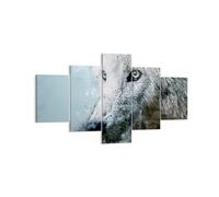 Quadro su Tela 125x70cm Bianco il lupo foto Stampe Immagini Quadri Murale