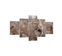 Quadro su Tela 125x70cm Boho Spighe Di Grano Erba Stampe Immagini Quadri Murale