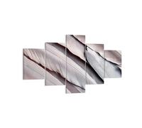 Quadro su Tela 125x70cm Piume ali piume Stampe Immagini Quadri Moderni Murale