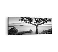 Quadro su Tela 140x50 cm Stampe da Parete Botanica Bianco e Nero - 4297 | Albero E Nero Quadro Decorativo Grande XXL 1 pezzo Soggiorno Camera da Letto Arte da Parete Decorazione da Parete ARTTOR