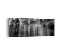 Quadro su Tela 140x50cm Alberi Dentro Nebbia Stampe Immagini Quadri Murale