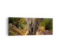 Quadro su Tela 140x50cm Animali Africa elefante camminare Stampe Immagini Murale