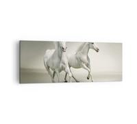 Quadro su Tela 140x50cm Animali arabo cavallo fattoria Stampe Immagini Murale